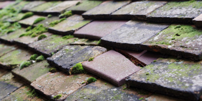 Pevensey Bay roof repair costs